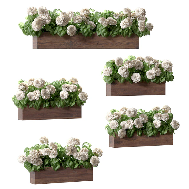 Hydrangea plant in a flowerpot for the facade. 5 models — Descargar