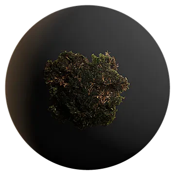 moss patch 002 — Descargar