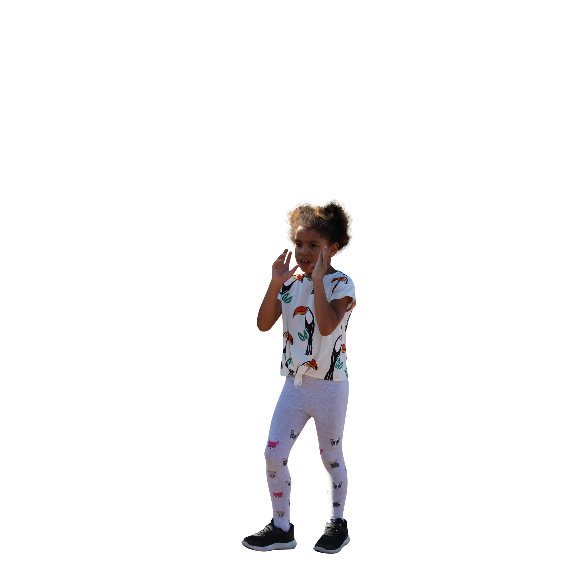 2031 — Descargar