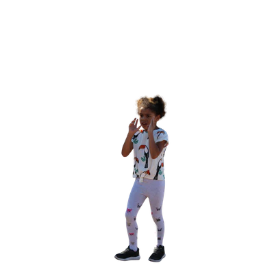 2031 — Descargar