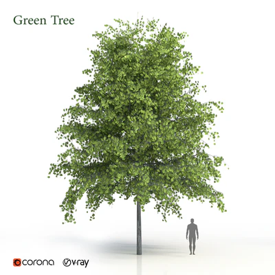 Green tree — Descargar