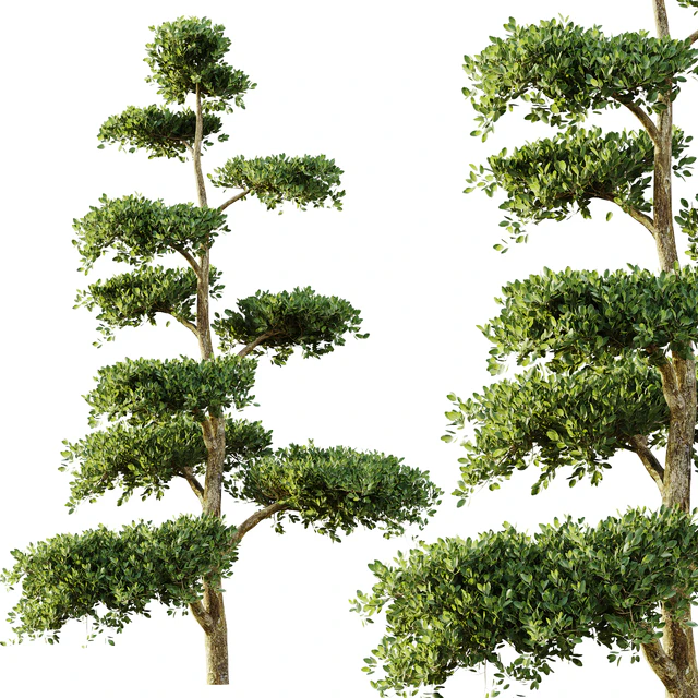 tree set 04 — Скачать