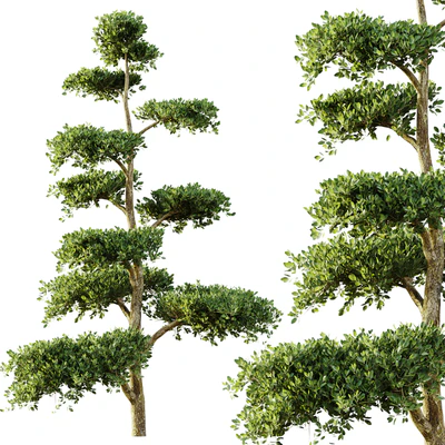 tree set 04 — Вид 1