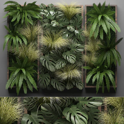Vertical garden 28. Фитостена, картина, трава, папоротник, монстера, настенный декор, фитомодуль, вертикальный сад — Вид 1