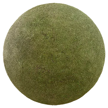 wild mossy grass 003 — Скачать