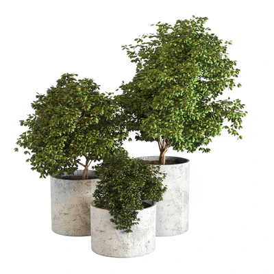 Outdoor plant 05 — Ver 1
