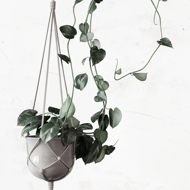 PLANTSET — Скачать