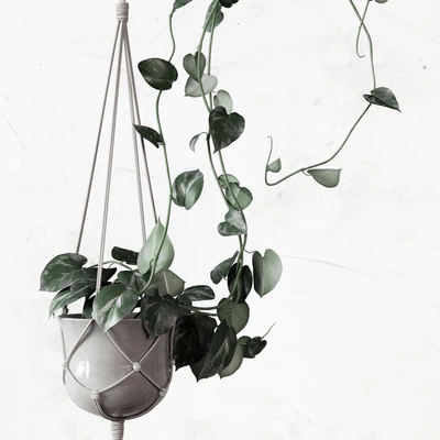 PLANTSET — Вид 2