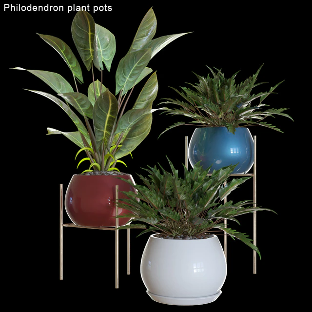 Philodendron plant pots #2 — Скачать