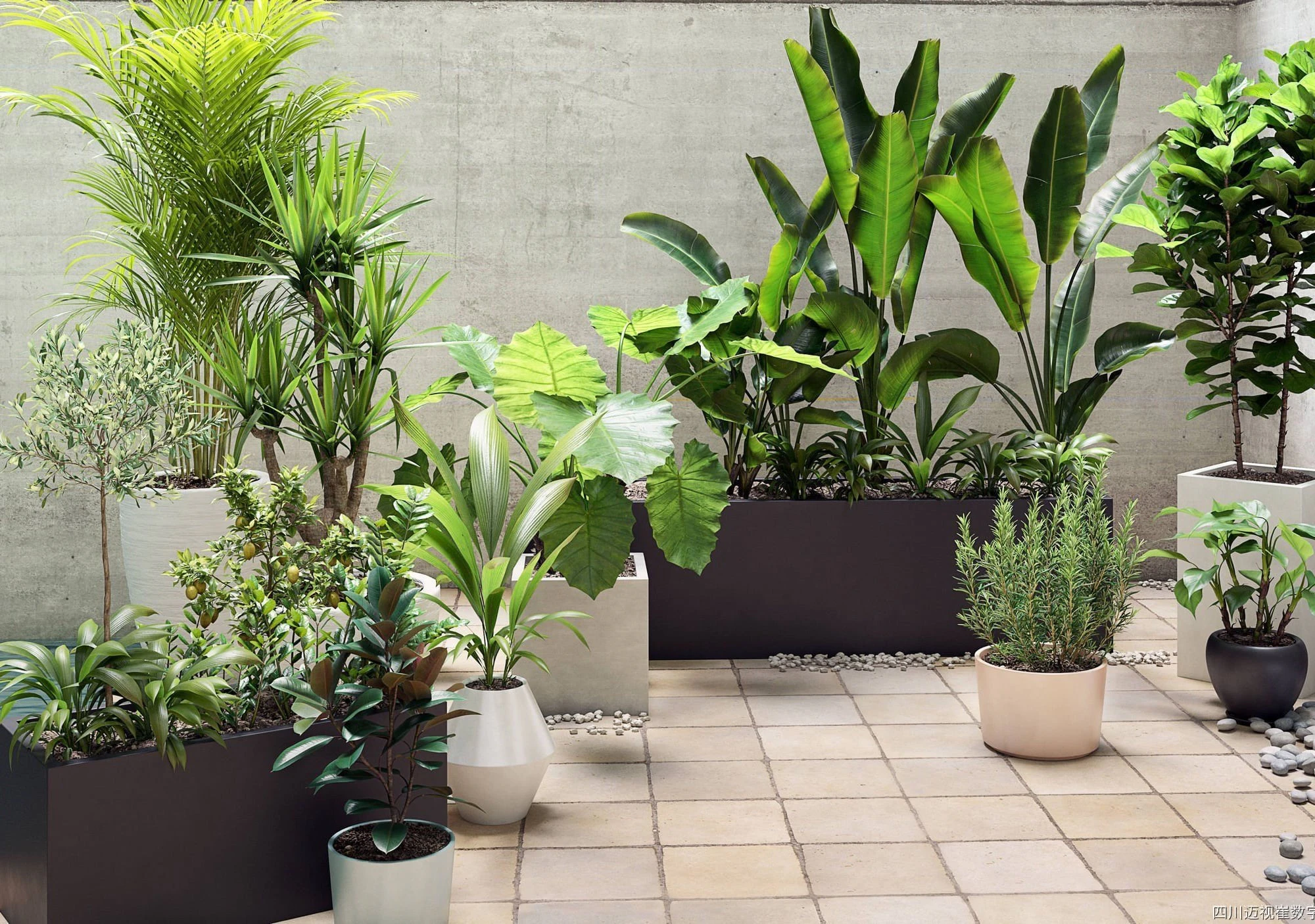 plant models vol 019 — Download