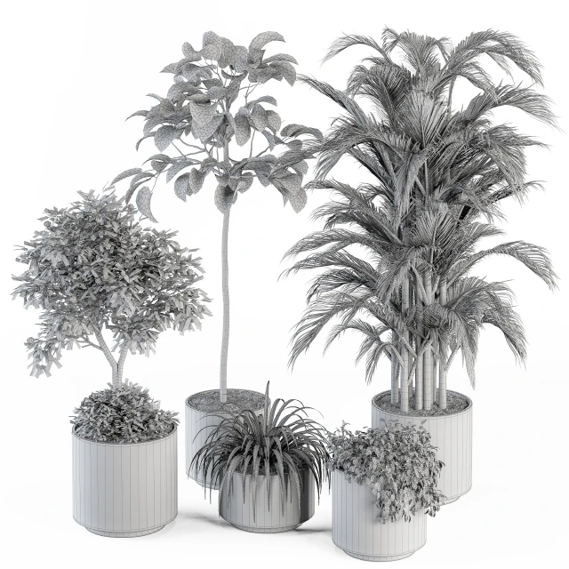 indoor Plant Set 257 - Plant Set in pot — Descargar