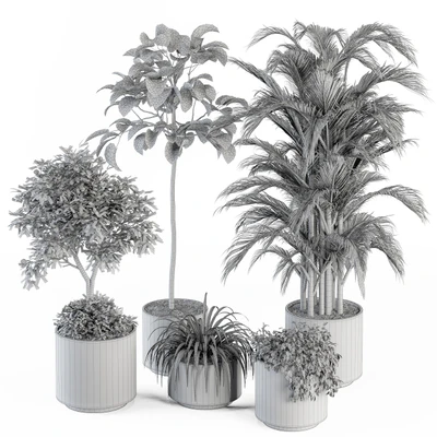 indoor Plant Set 257 - Plant Set in pot — Ver 5
