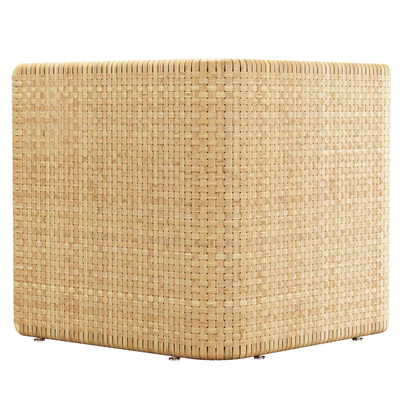 Monica rattan dining chair / Rattan dining chair — Ver 5
