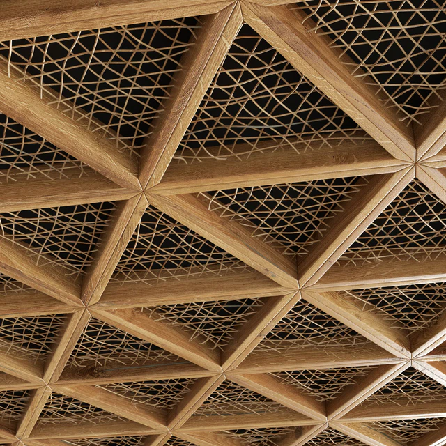 Ceiling tringle frame branch n1 / Ceiling of branches in a triangular frame — Descargar