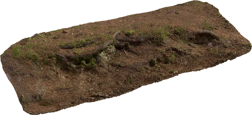 nordic forest ledge dirt root medium 002 — Скачать