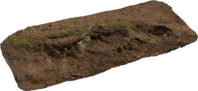 nordic forest ledge dirt root medium 002 — Скачать