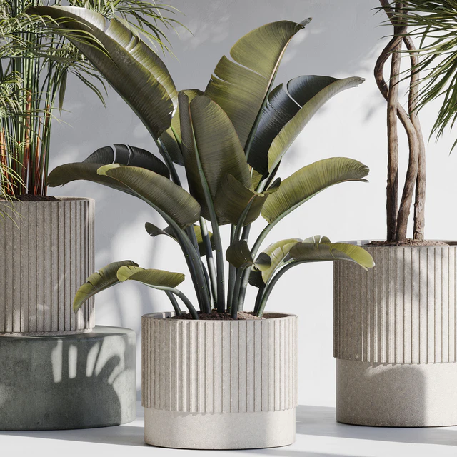 indoor plant set 69 — Descargar