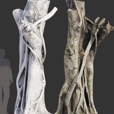 Ficus Tree Trunk 10 — Ver 3