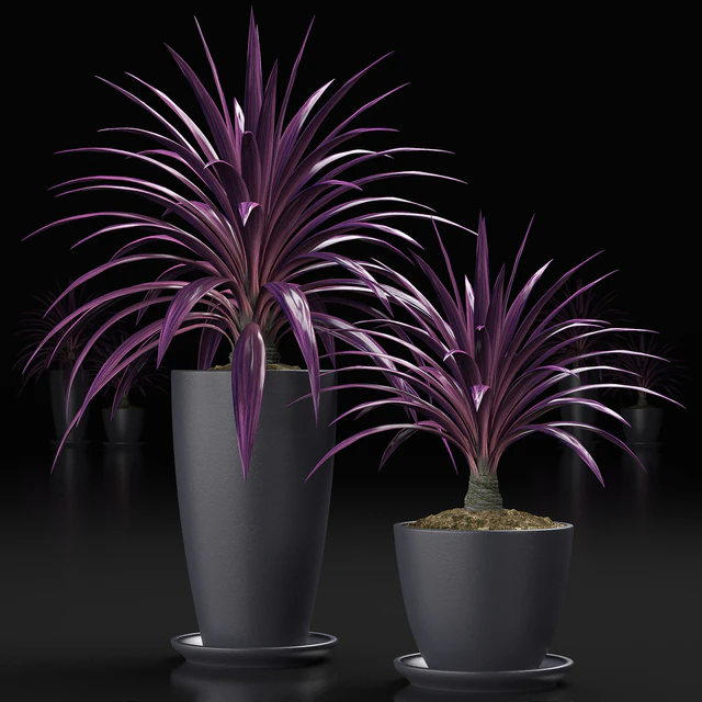 PLANTS 16 — Скачать