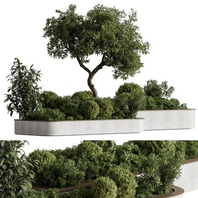 Plant Box - Outdoor Plants 588 — Ver 5