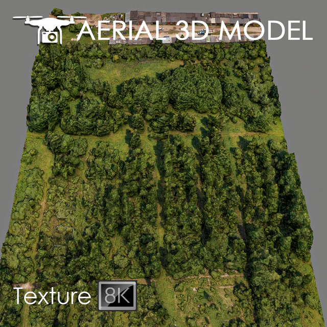 Forest 81 — Descargar