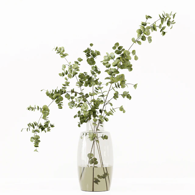 Collaction Indoor Plants 022 — Скачать