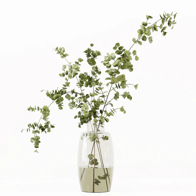 Collaction Indoor Plants 022 — Вид 7