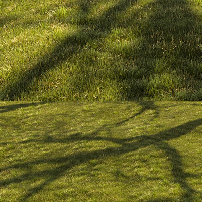 Grass Landscape — View 3