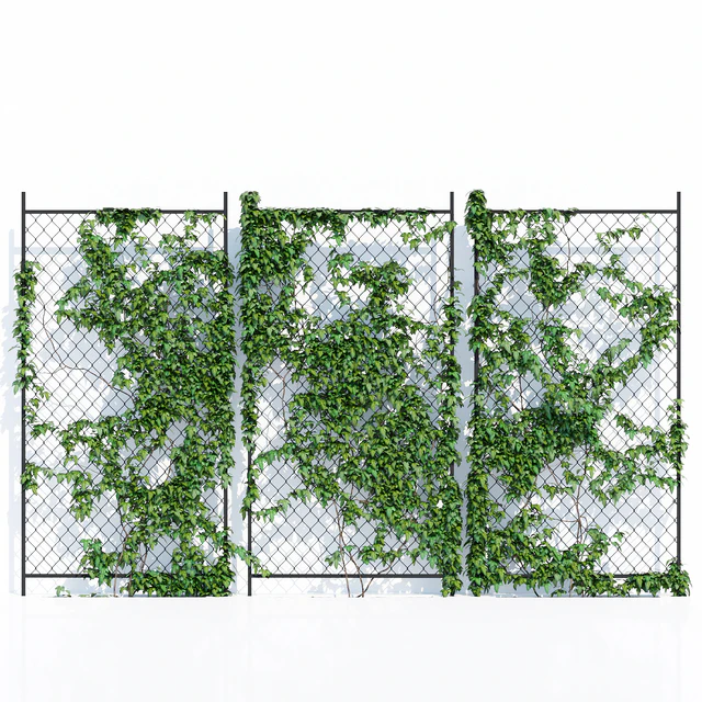 Ivy wall two — Descargar