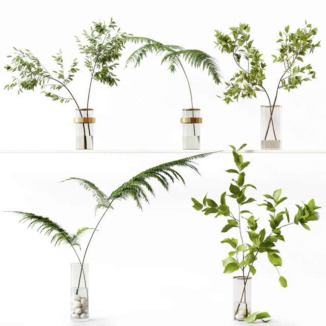 Collection Indoor Plants 058 — Descargar