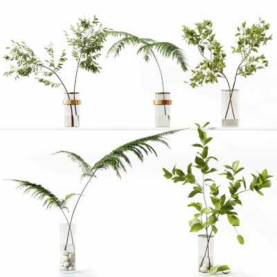Collection Indoor Plants 058 — Ver 1
