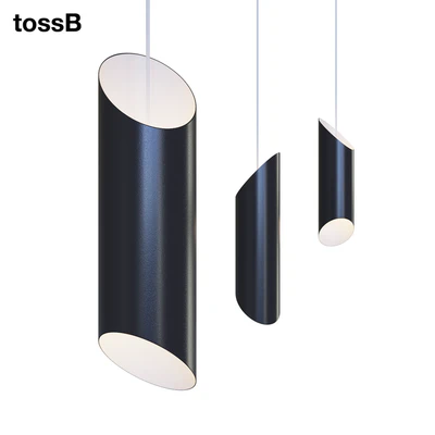 TossB FINAL CUT — Вид 1