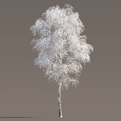050 winter — download