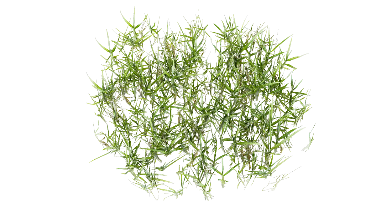 grass clumps 003 — Скачать