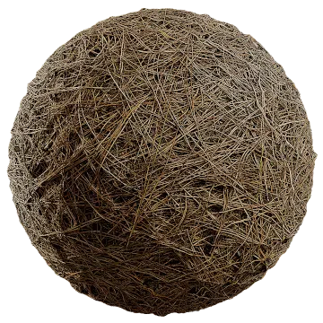dried pine needles detail texture 001 — Скачать