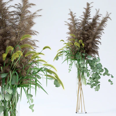 Pennisetum & Pampas grass & Eucalyptus — Ver 1