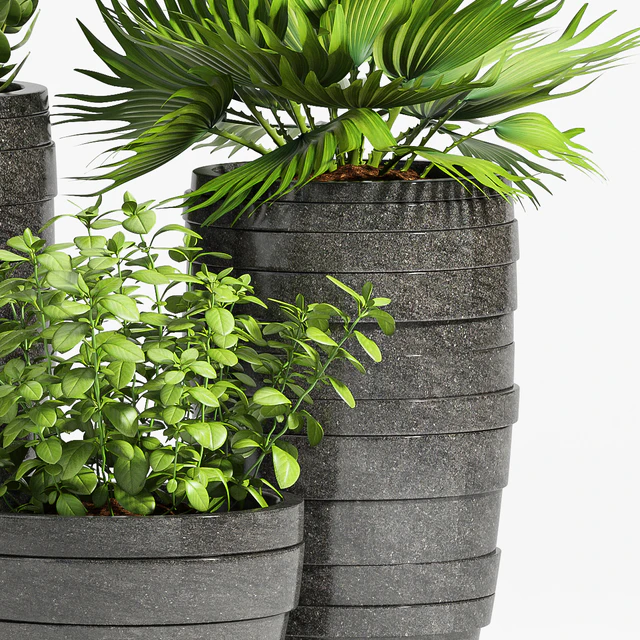 PLANT -31 — Descargar