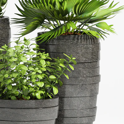 PLANT -31 — Ver 3
