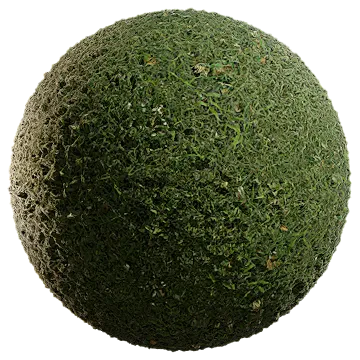 uncut grass 016 — Descargar