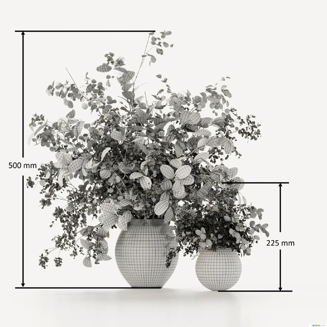 Plants Bouquets 07 — Descargar
