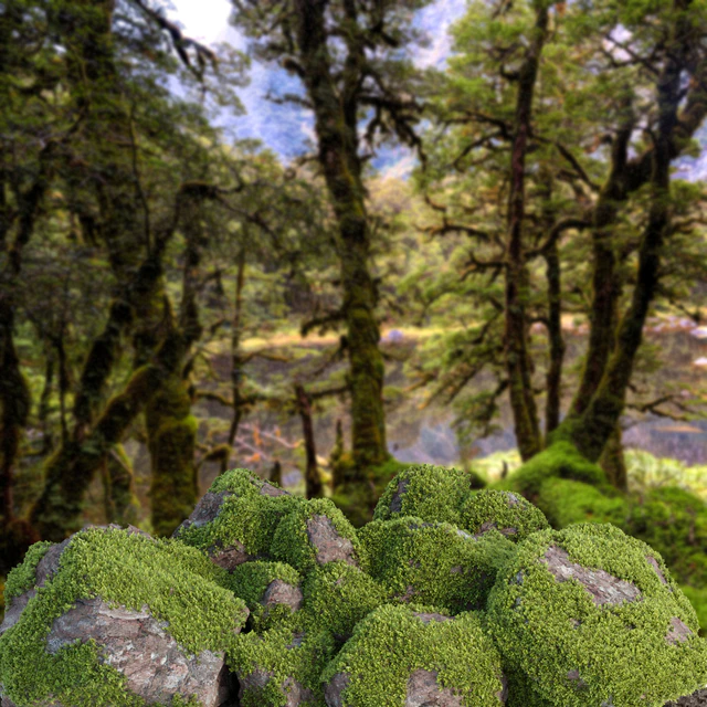 Mossy rock garden collection vol 140 — Descargar
