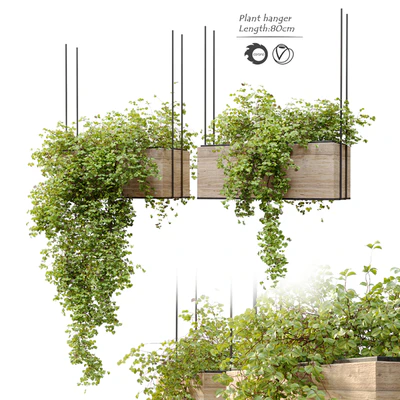 Plant hanger — Ver 1