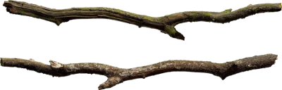 aspen branch 001 — Скачать