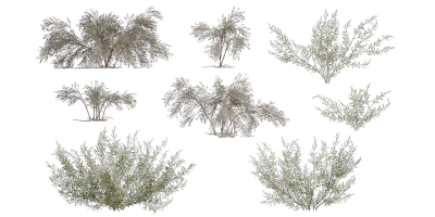 desert cotton 001 — Descargar