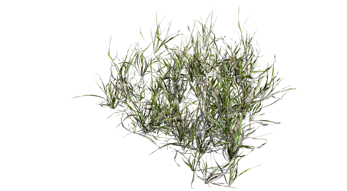 grass clumps 002 — Скачать