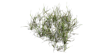 grass clumps 002 — Скачать