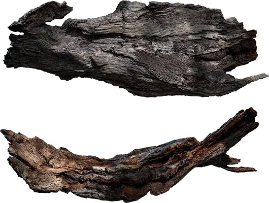 tree bark 017 — Скачать