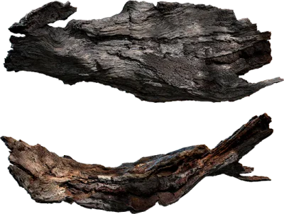 tree bark 017 — Скачать