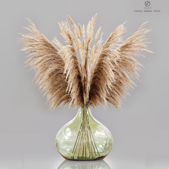 Luxury pampas grass — Descargar