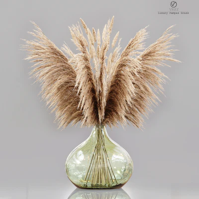 Luxury pampas grass — Ver 1